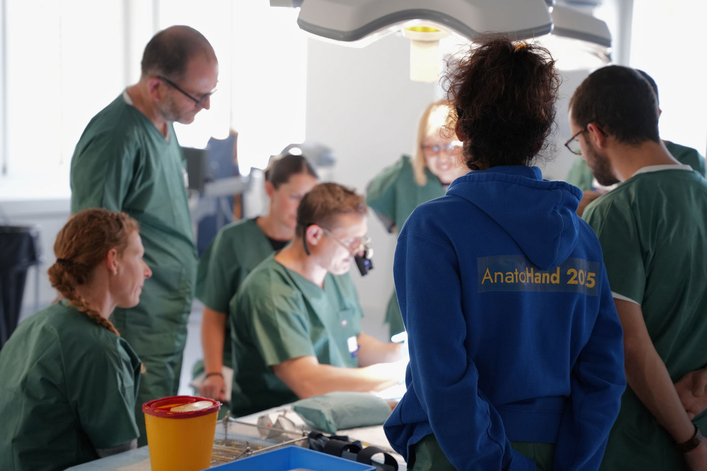 AnatoHand 10.2025