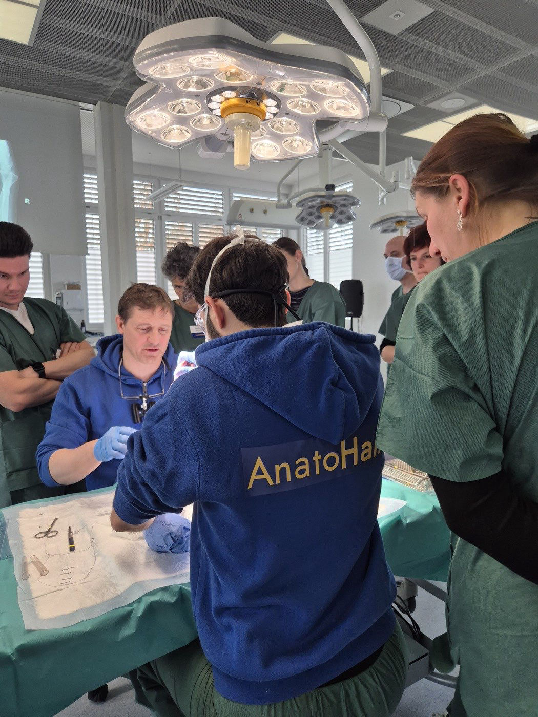 AnatoHand 02.2026
